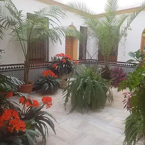 Casa Típica Cordobesa Apartamento Córdoba