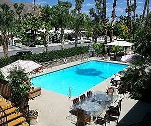 Palm Tee ** Palm Springs
